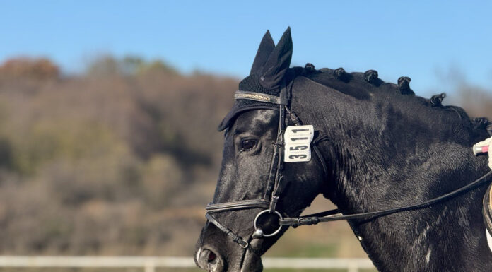 Излъчиха шампионите в Държавния шампионат по Всестранна езда за 2025
