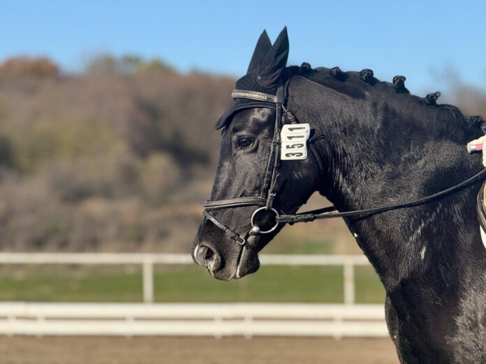 Излъчиха шампионите в държавният шампионат по всестранна езда за 2025