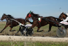 Борис Генчев грабна „Купа на запрежчика“ за 2025