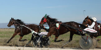 Борис Генчев грабна „Купа на запрежчика“ за 2025