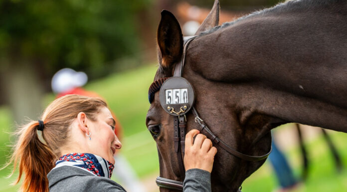От януари догодина се издават първите дигитални паспорти за коне