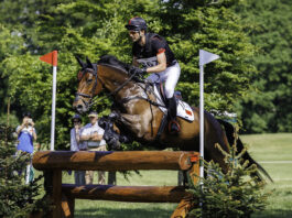 Ирландия е избрана бъде домакини на едно от първите две световни първенства по всестранна езда за юноши до 25 години за 2026