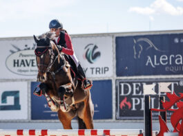 Eлиза Чолакова е най-високо класираният български ездач в Световната класация на Longines FEI