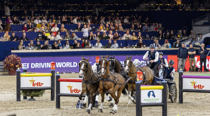 Докато ние празнуваме и почиваме, те не спират