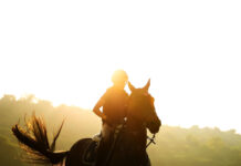 Годината на огнения кон 2026-а е годината на Огнения Кон анонсира първите галопиращи събития