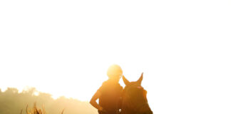 Годината на огнения кон 2026-а е годината на Огнения Кон анонсира първите галопиращи събития