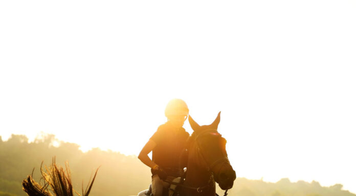 Годината на огнения кон 2026-а е годината на Огнения Кон анонсира първите галопиращи събития