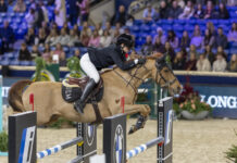 Финалът на прескачания с препятствия с пони в Мехелен излъчи победителите