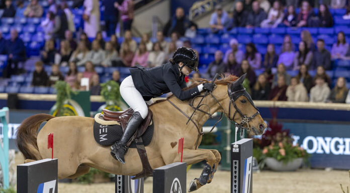 Финалът на прескачания с препятствия с пони в Мехелен излъчи победителите