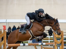 Конната база в Божурище с първи официален старт за годината и втори по календар