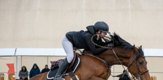 Конната база в Божурище с първи официален старт за годината и втори по календар