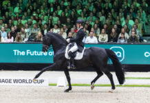 Квалификации за Западноевропейската лига по обездка в Холандия