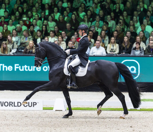 Квалификации за Западноевропейската лига по обездка в Холандия