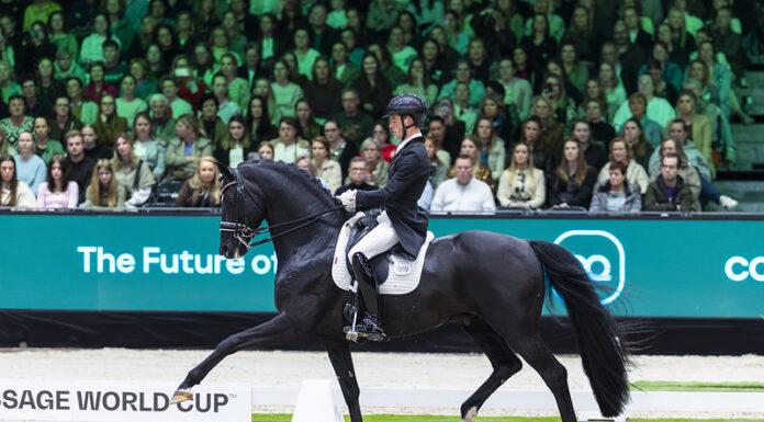 Квалификации за Западноевропейската лига по обездка в Холандия