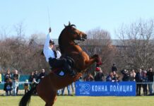 Конната полиция отбеляза 70 – годишен юбилей навръх празника на конете