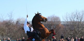 Конната полиция отбеляза 70 – годишен юбилей навръх празника на конете