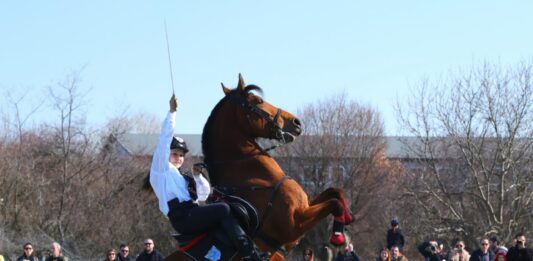 Конната полиция отбеляза 70 – годишен юбилей навръх празника на конете