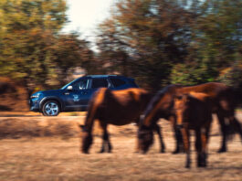 EzdaPress на върха в Dacia Touristic Rally 2026