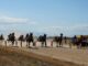 Дерби България и Гранд При разтърсиха пистата край Калояново